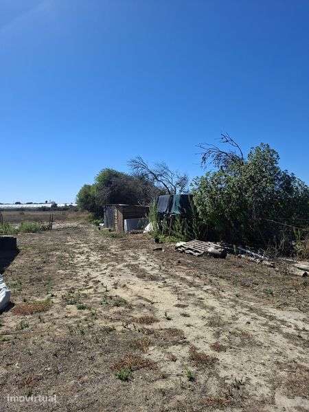 Terreno rústico com 1,5 hectares - Grande imagem: 5/8