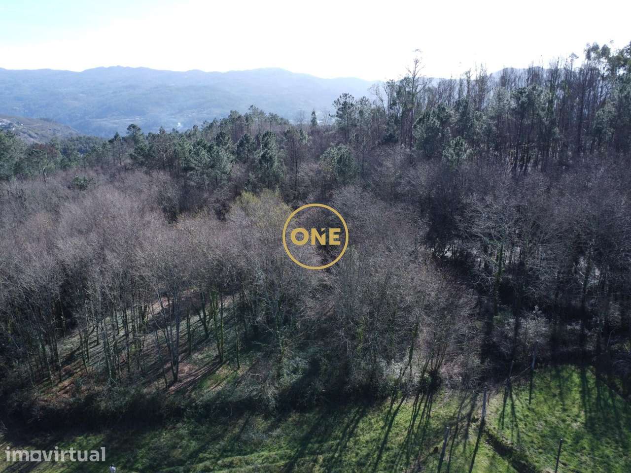Bouça florestal com 8000m2 em Valdreu – Excelente oportunidade - Grande imagem: 5/23