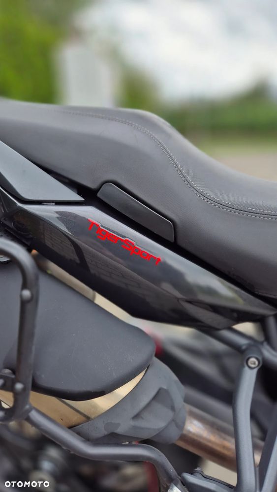 Triumph Tiger - 24