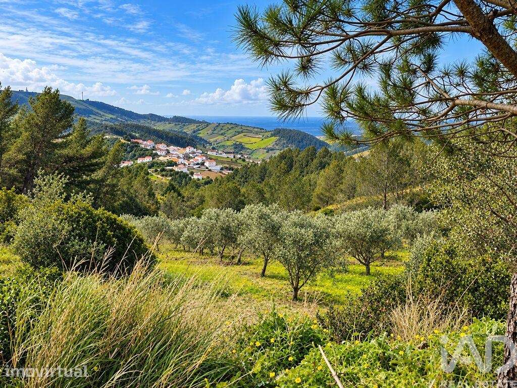 Terreno misto em Vilar - Grande imagem: 5/8