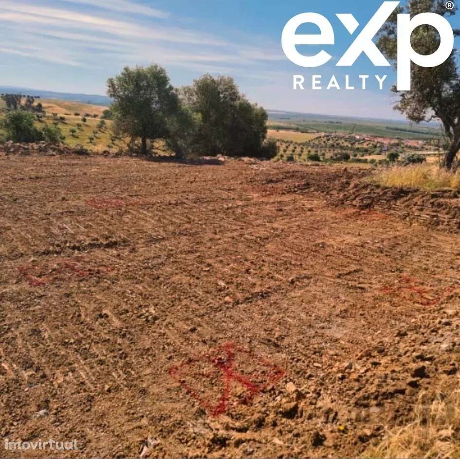 Terreno rustico Baixo Alentejo 4.1 hectares - Grande imagem: 2/9