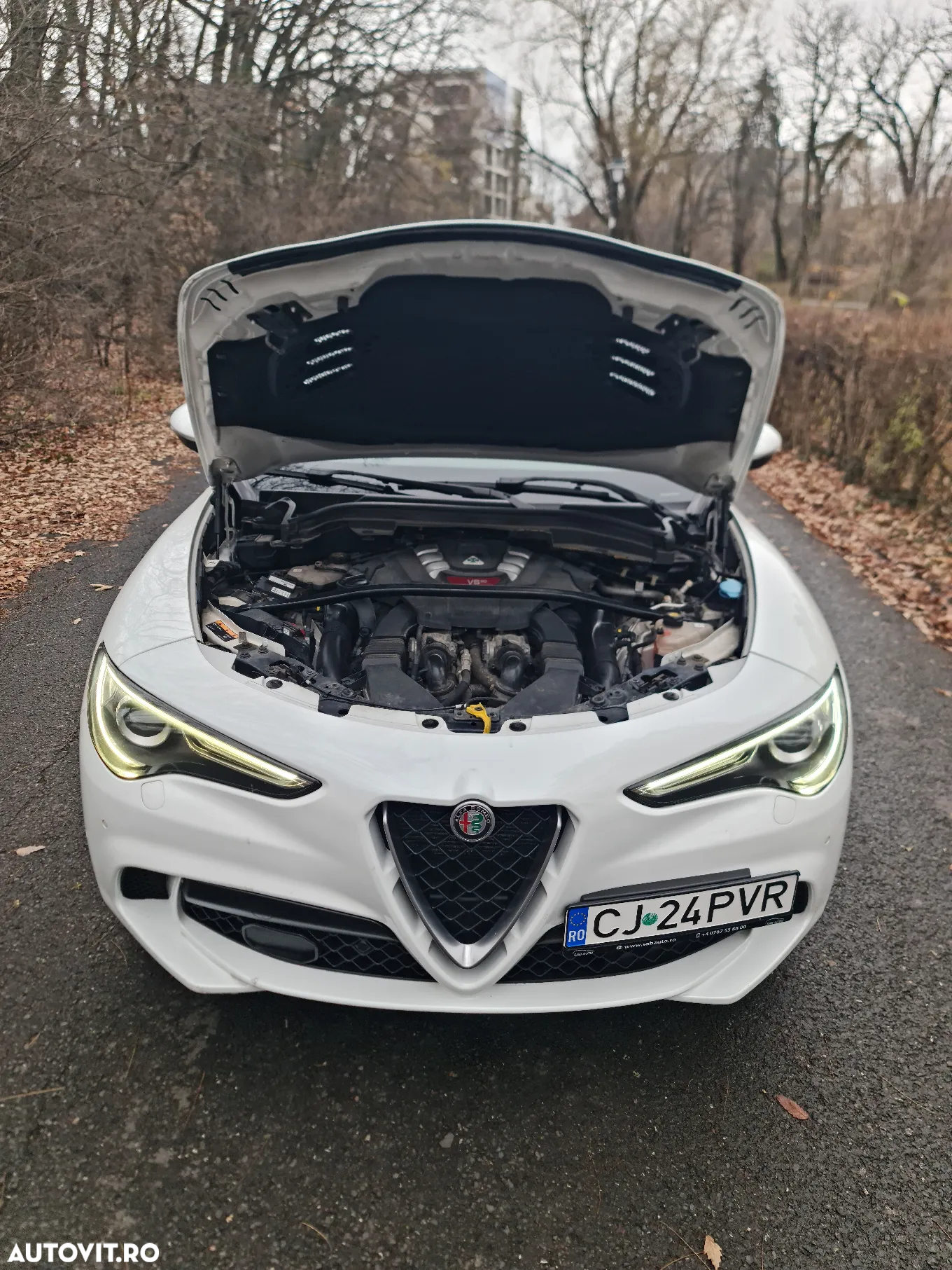Alfa Romeo Stelvio 2.9 V6 Turbo AWD AT8 Quadrifoglio - 18