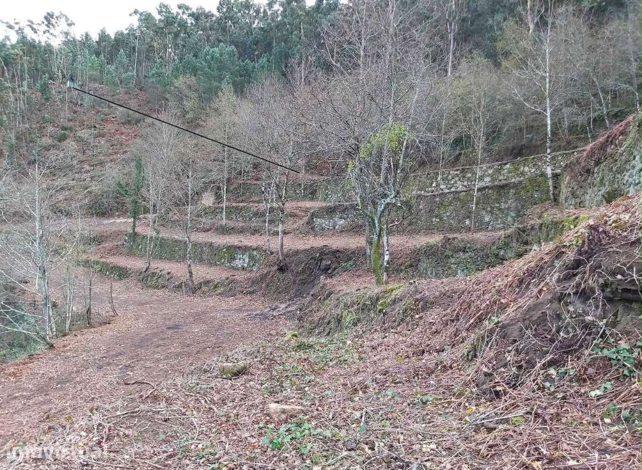 Quinta no Douro para Turismo Rural - Grande imagem: 3/12