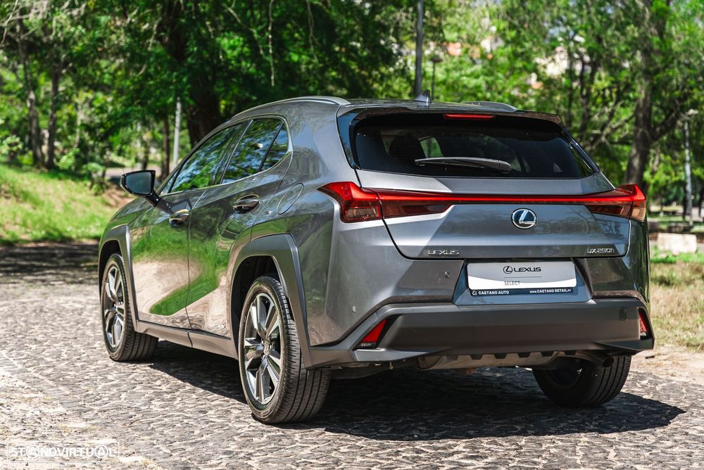 Lexus UX 250h Luxury - 8