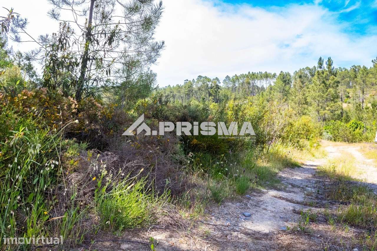 Terreno rústico para venda em Santo André das Tojeiras, Castelo Branco - Grande imagem: 3/30