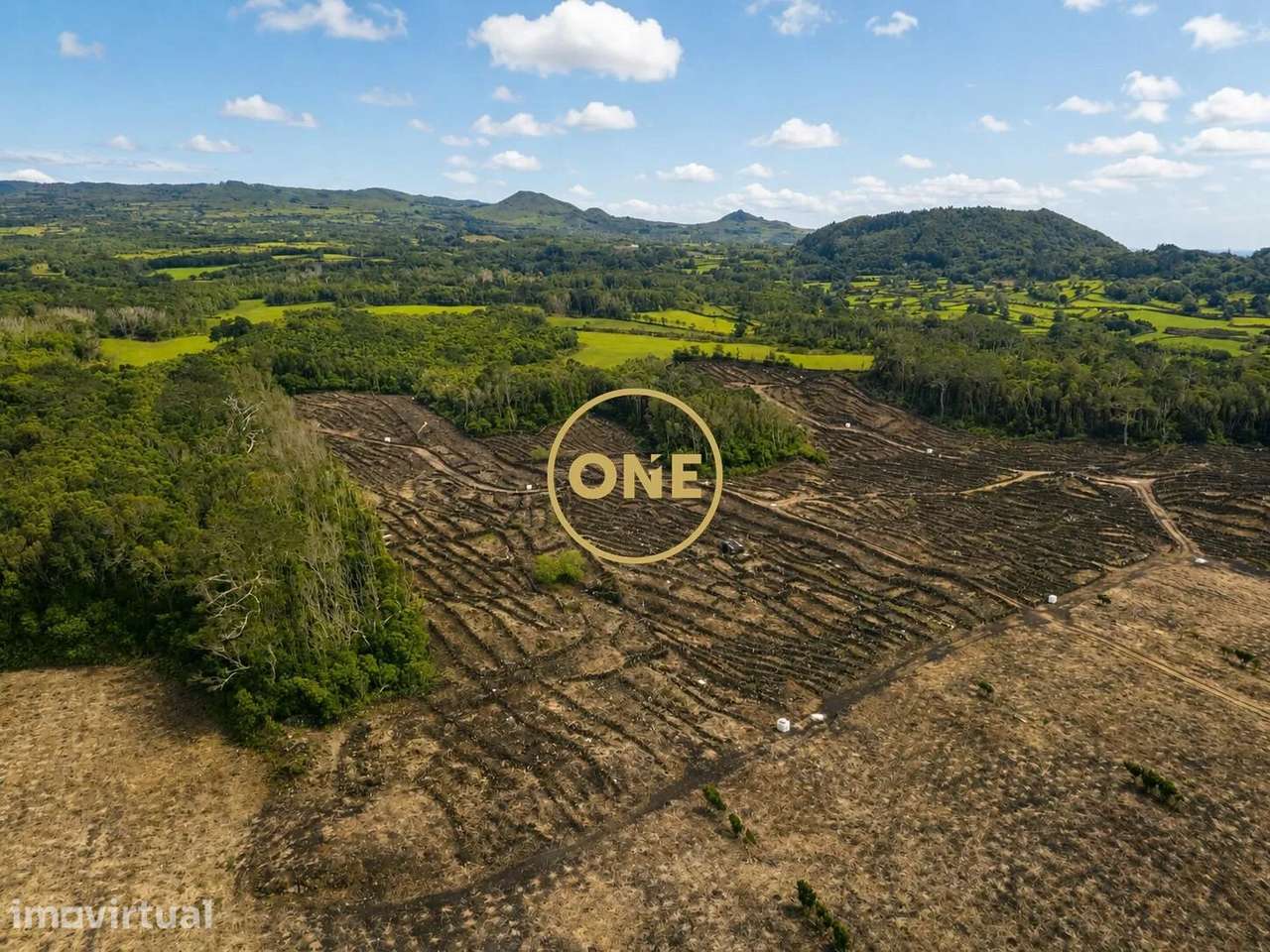 Terreno com Vinha à Venda na Ilha do Pico - Grande imagem: 2/4