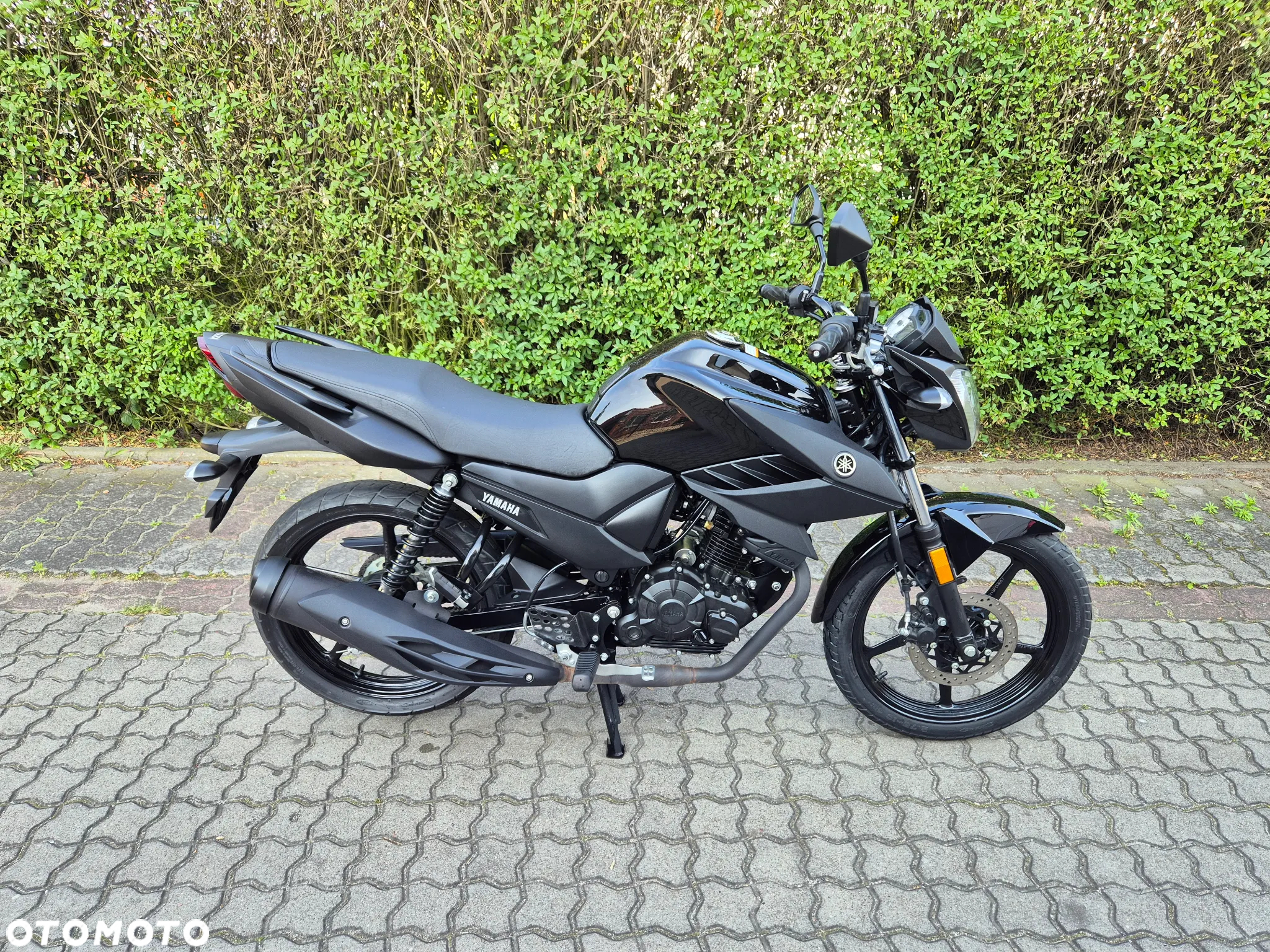 Yamaha YS - 12