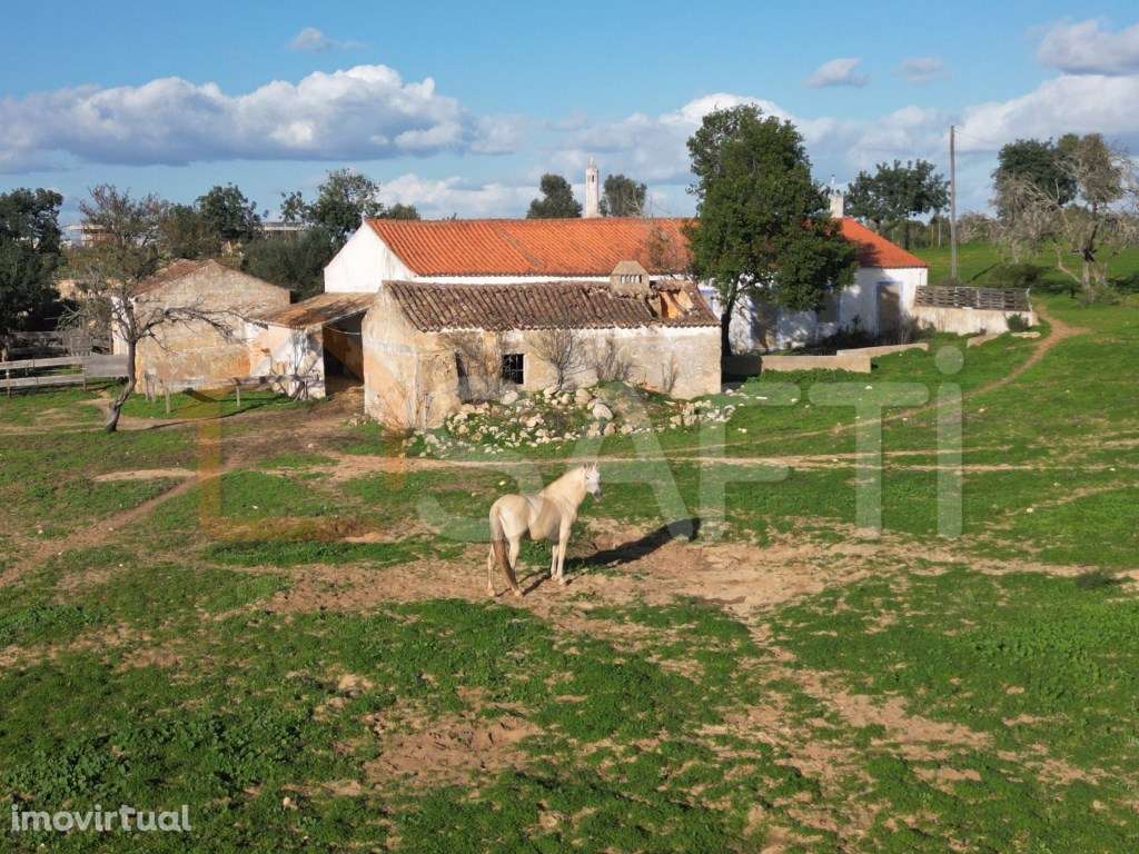 Terreno em Carvoeiro - Grande imagem: 2/18
