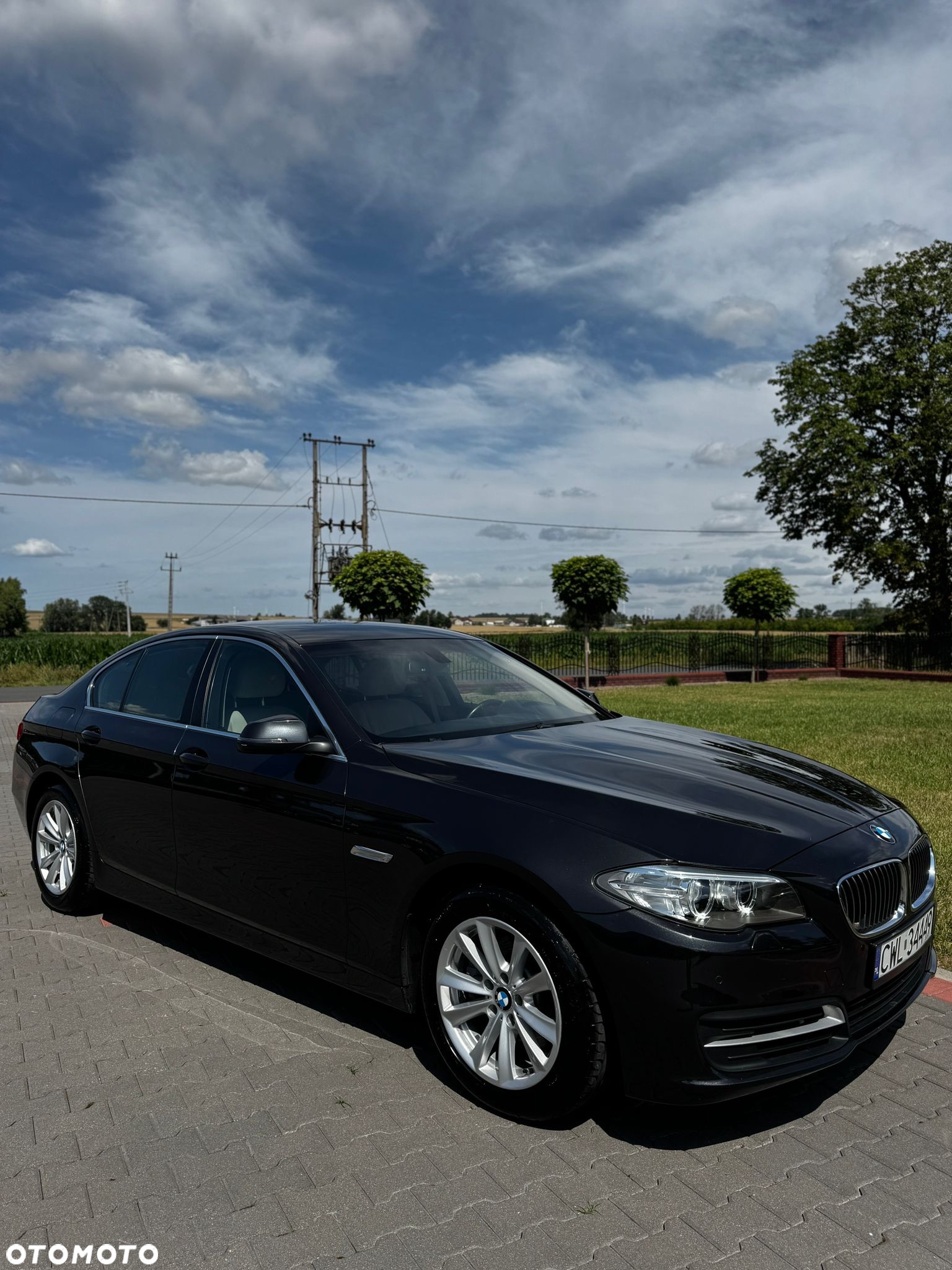 BMW Seria 5 518d Luxury Line - 27