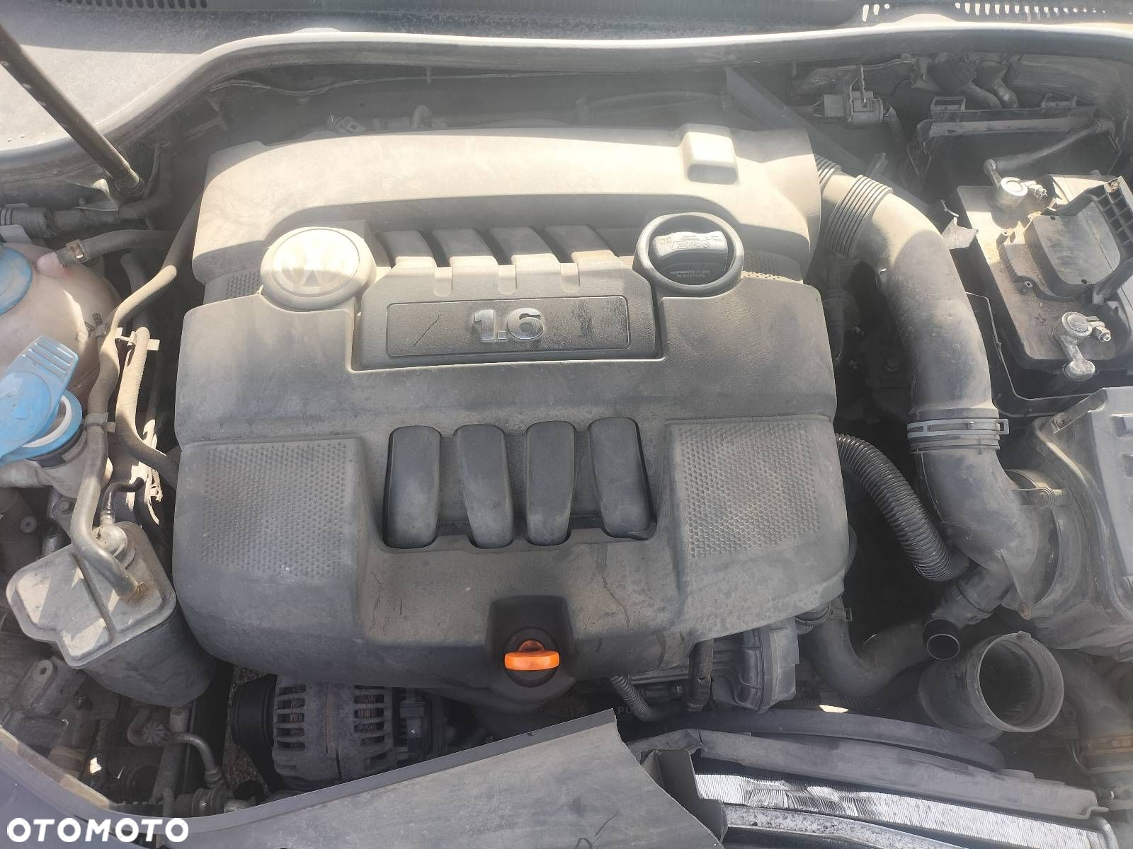 SILNIK BENZYNOWY SEAT SKODA OCTAVIA II GOLF V BSE 1.6 8V MPI 102KM - 3