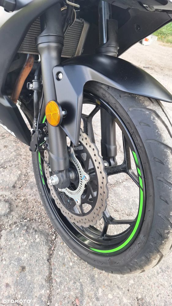 Kawasaki Ninja - 21