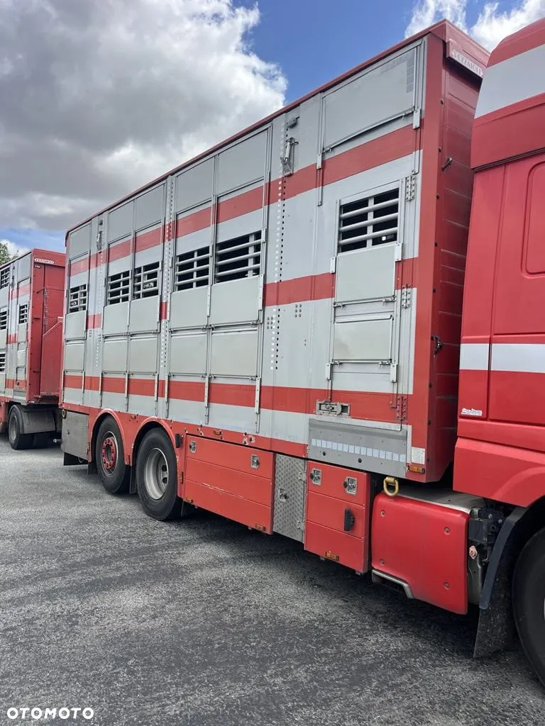DAF XF 460 + Przyczepa Pezzaoli - 3X Trzoda, 2 X Bydło I 3 poziomy  I Podnoszony dach I Hydroburta I Osie Skrętne I Poidła I Wentylatory I Pilot Manualny | Euro5 - 5