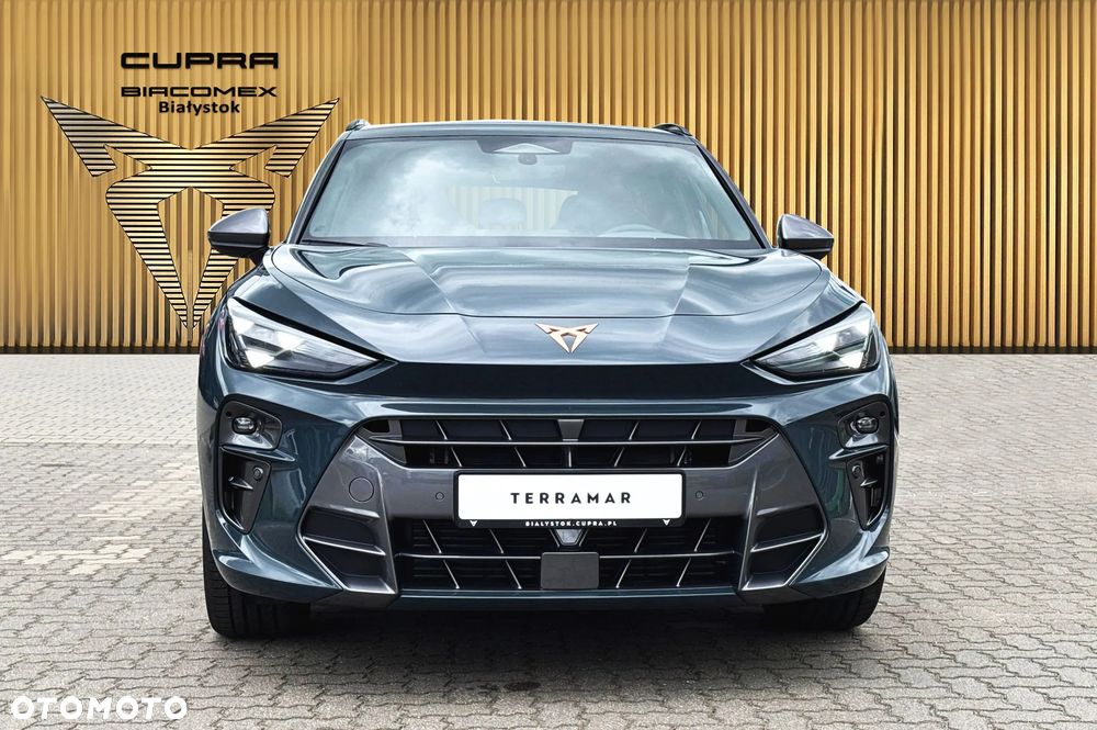 Cupra Terramar - 9