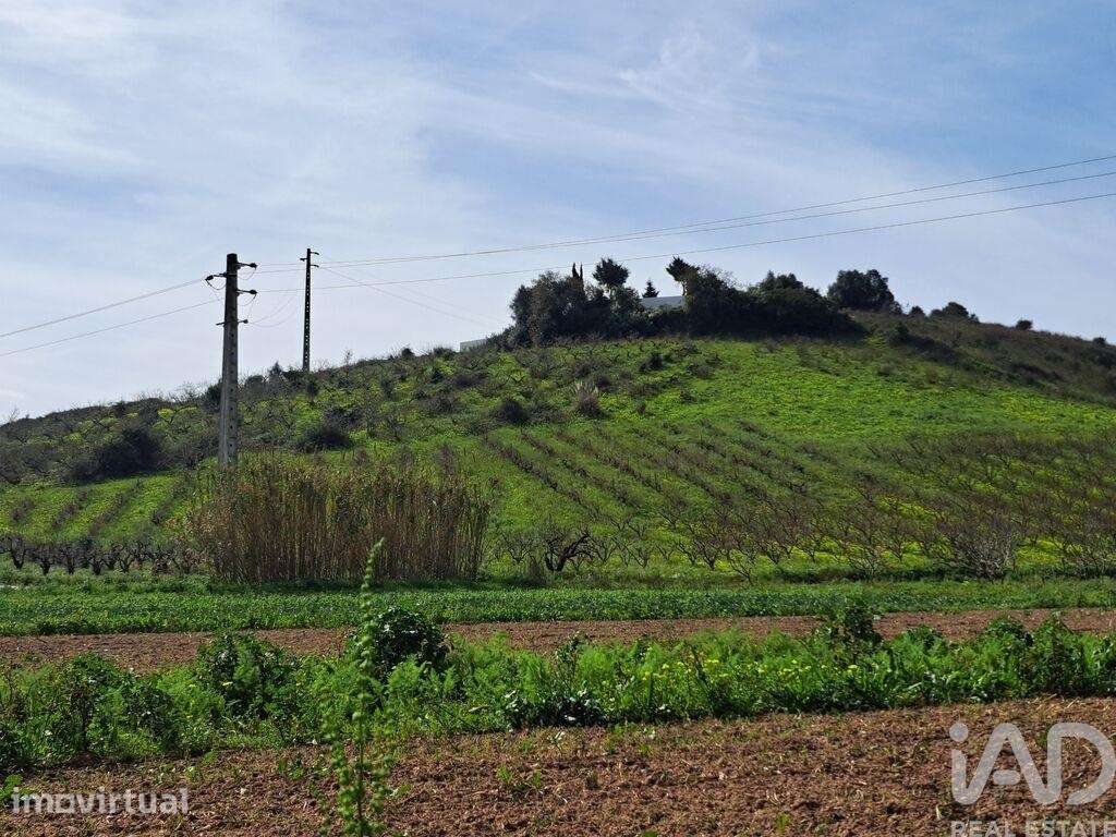 Terreno em Azueira e Sobral da Abelheira de 21437,00 m2 - Grande imagem: 4/23