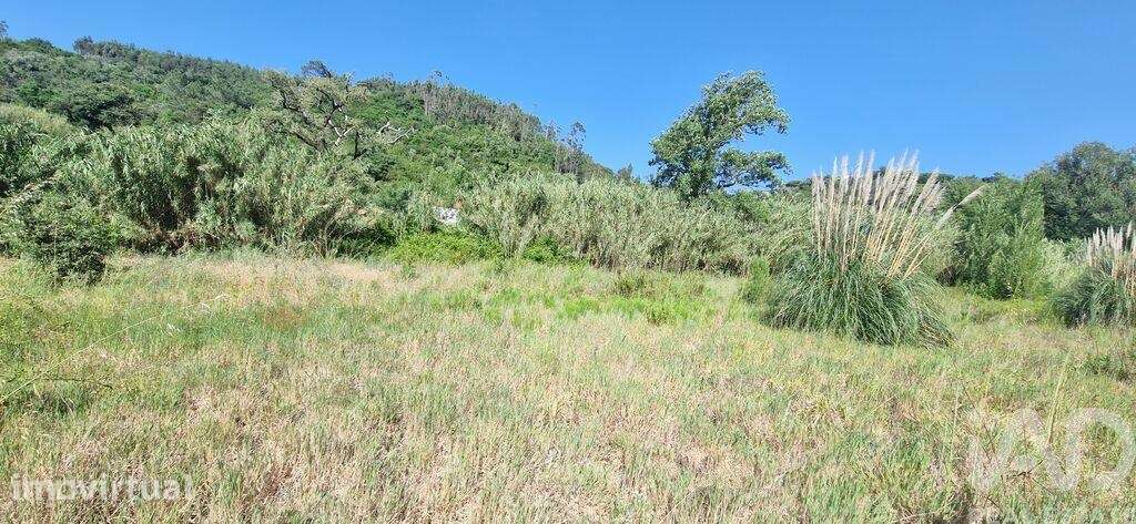 Terreno Agrícola em Azueira e Sobral da Abelheira - Grande imagem: 2/23