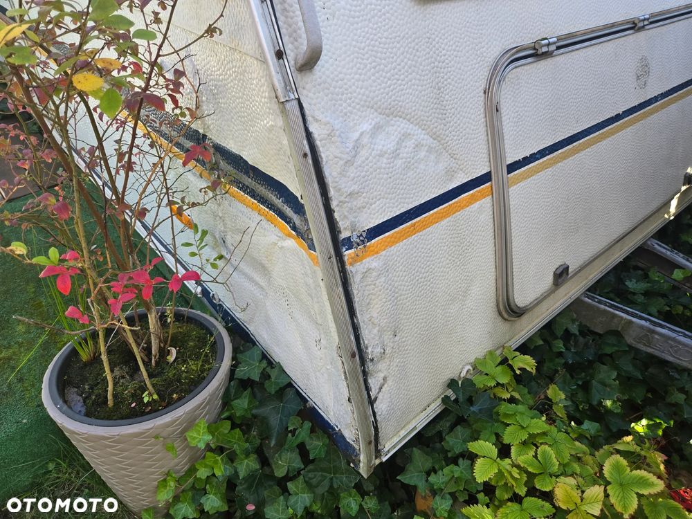 Wilk Safari 560 - 15