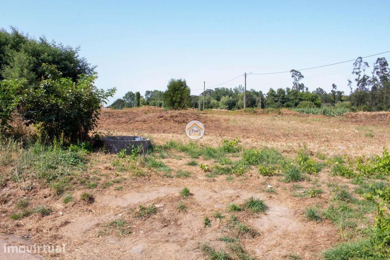 Terreno para Promoção Habitacional – Ovar - Grande imagem: 5/18