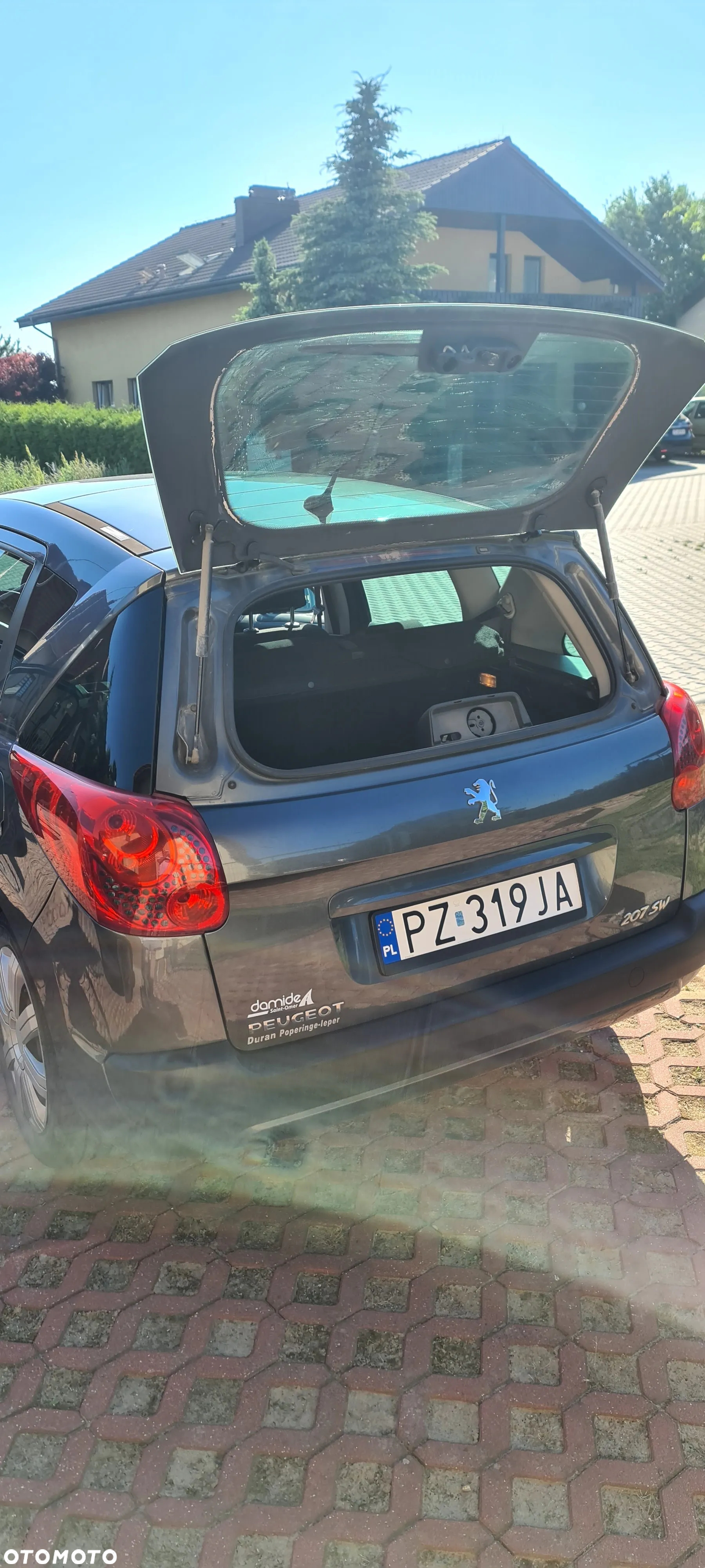 Peugeot 207 - 9