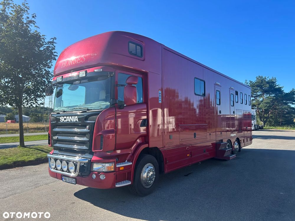Scania R340 Koniowóz POP OUT - 1