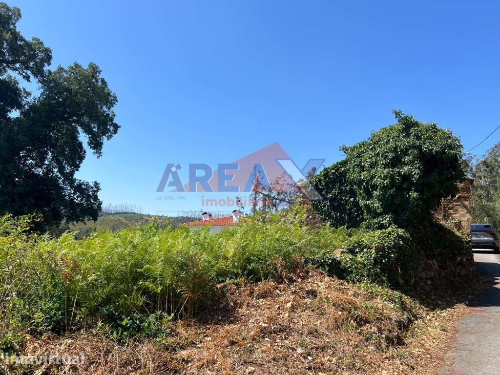 TERRENO COM RUÍNA EM OSSELA - Grande imagem: 2/17