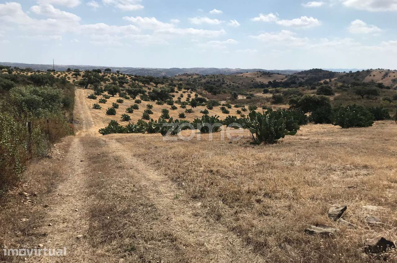 Herdade Vale do Guadiana 25HA - Grande imagem: 3/30