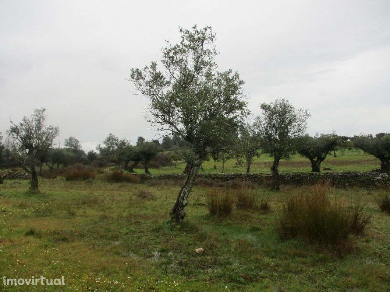 Terreno - Grande imagem: 5/8