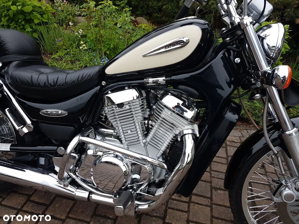 Suzuki Intruder - 3