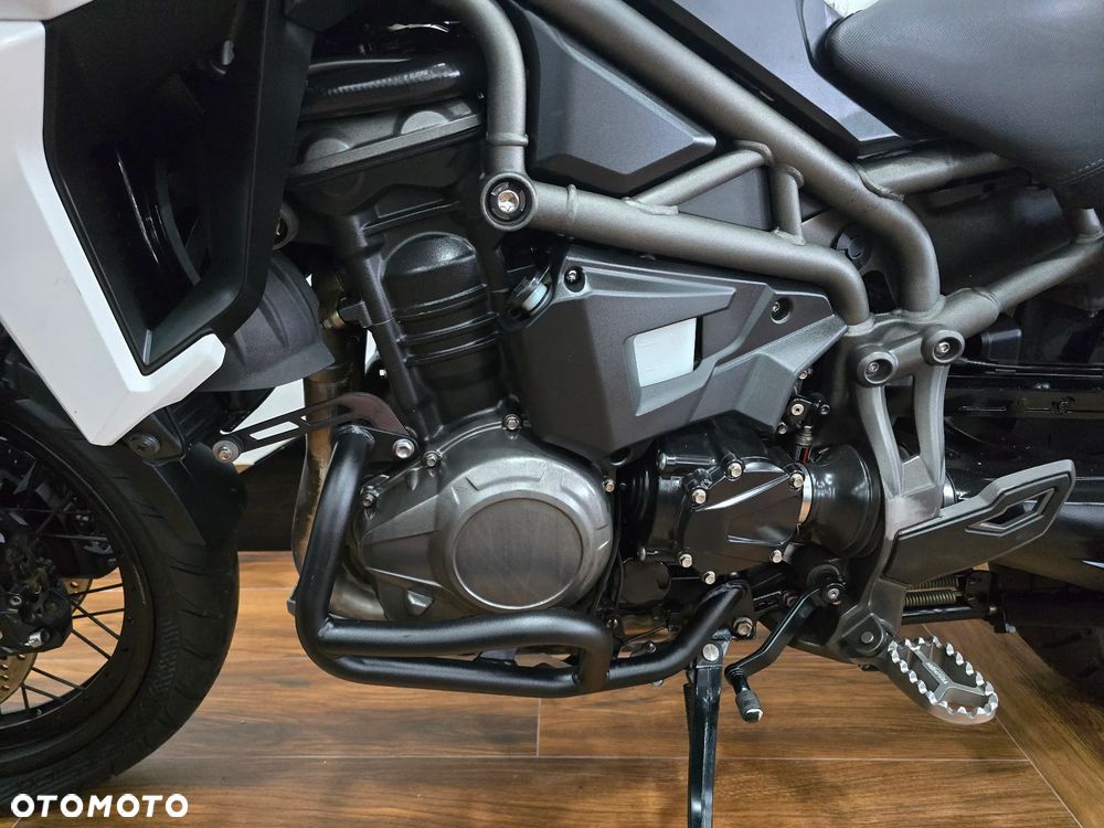 Triumph Tiger - 14