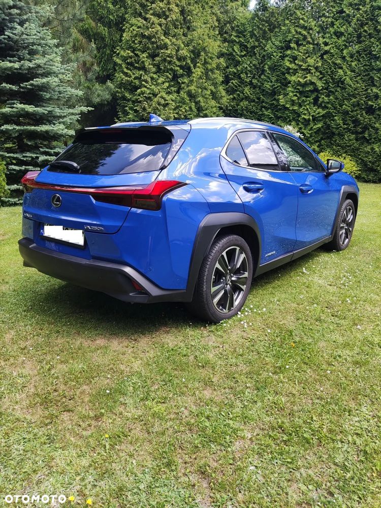 Lexus UX 250h GPF Omotenashi AWD - 3