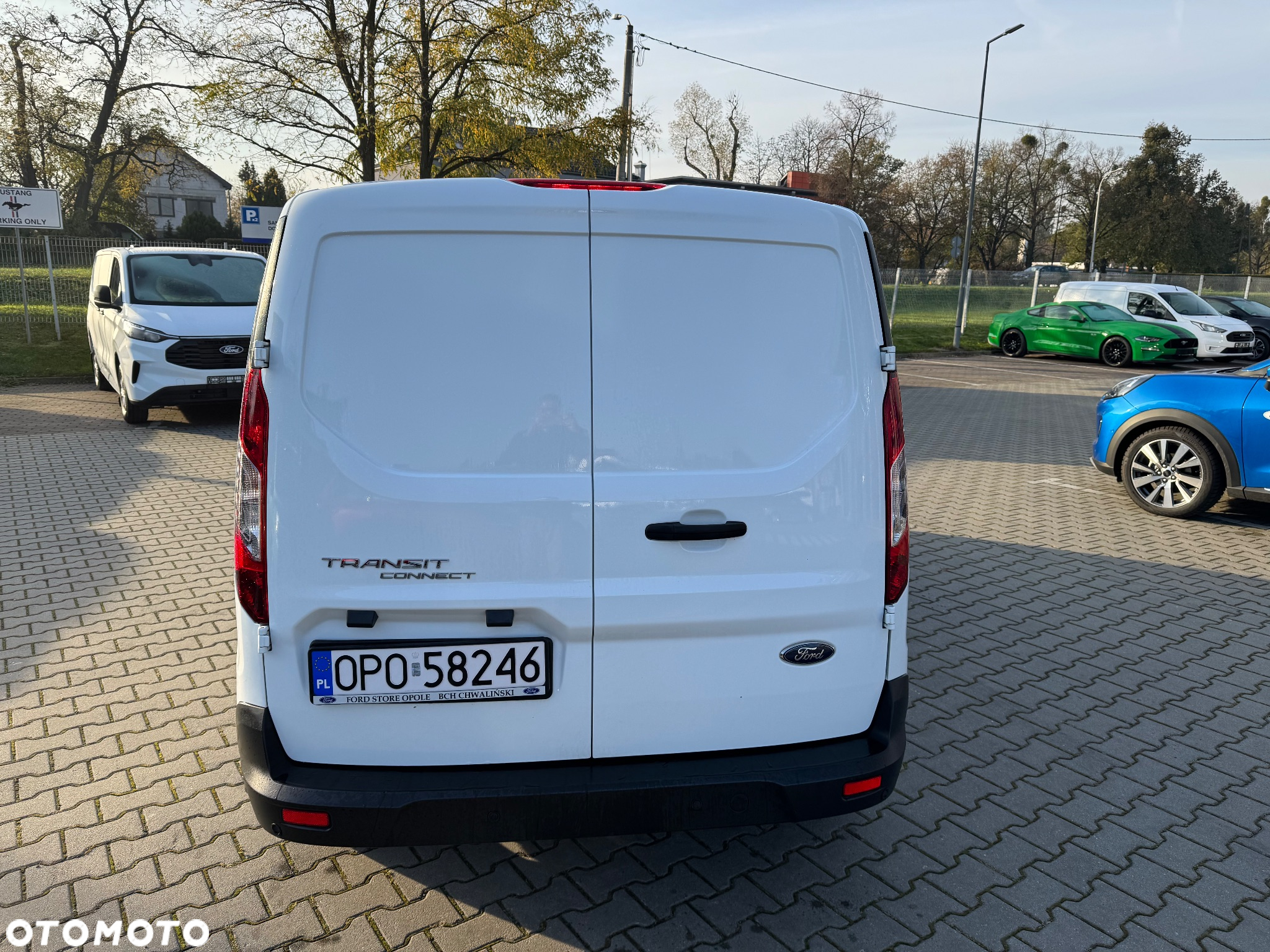 Ford Transit Connect - 6