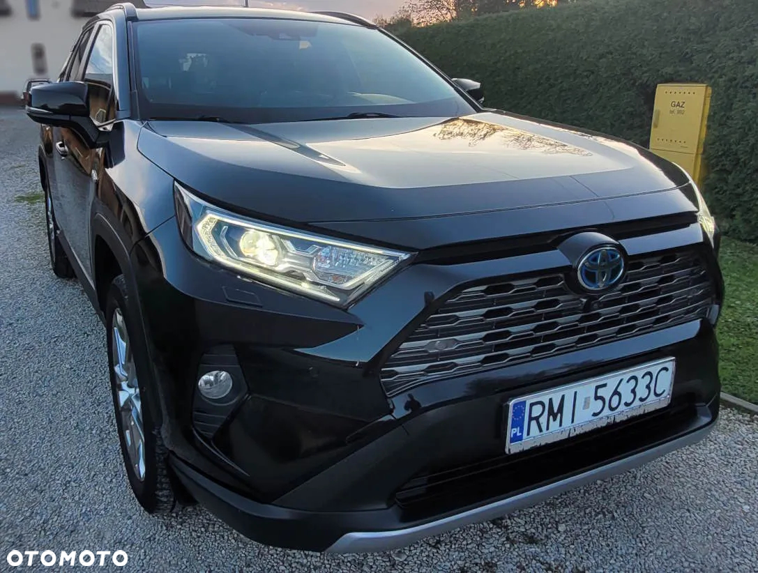 Toyota RAV4 2.5 Hybrid Executive 4x4 - 8