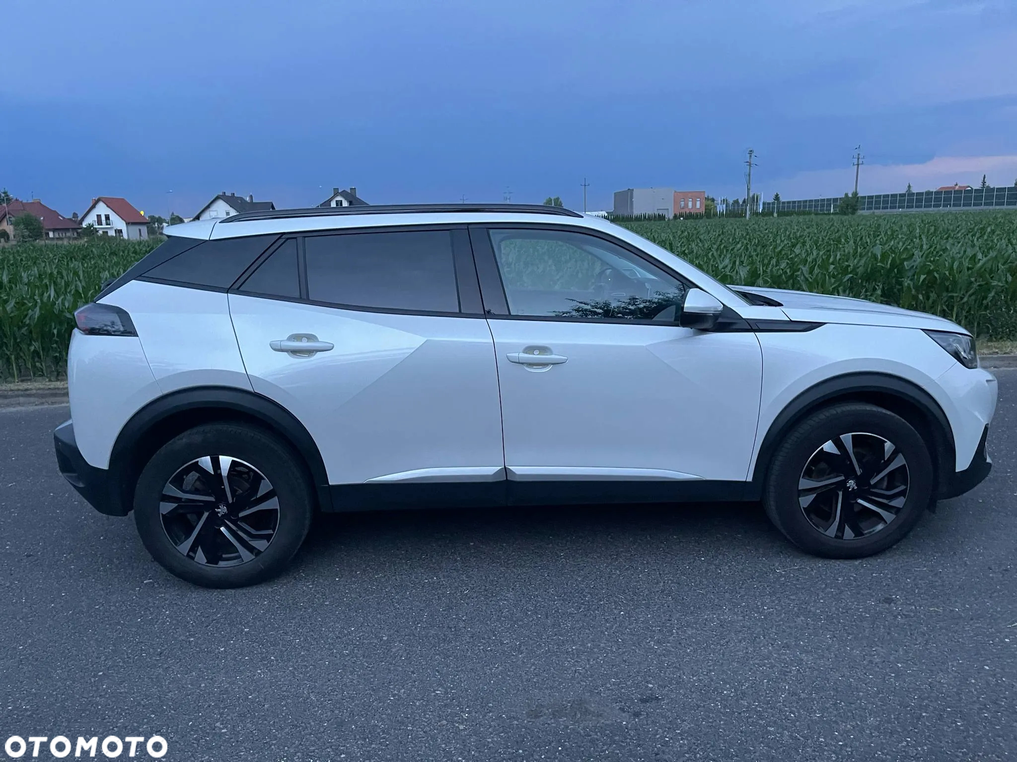 Peugeot 2008 BlueHDi 130 Allure S&S EAT8 - 5