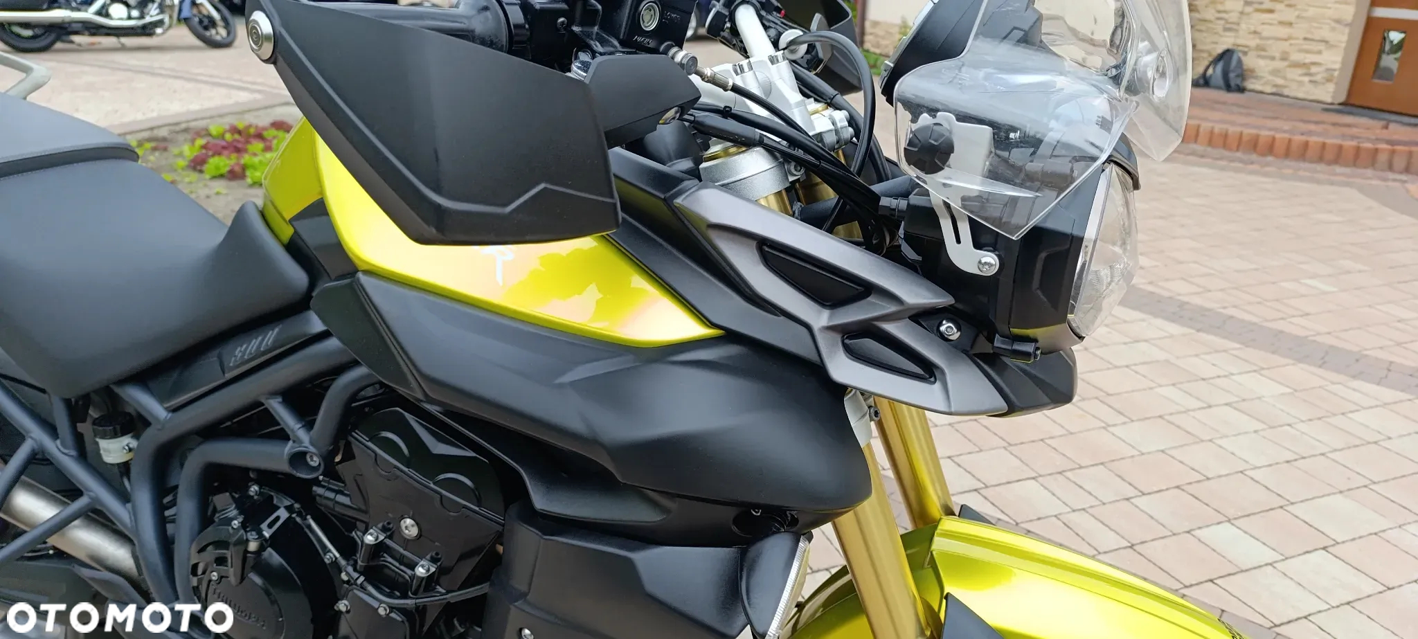 Triumph Tiger - 29