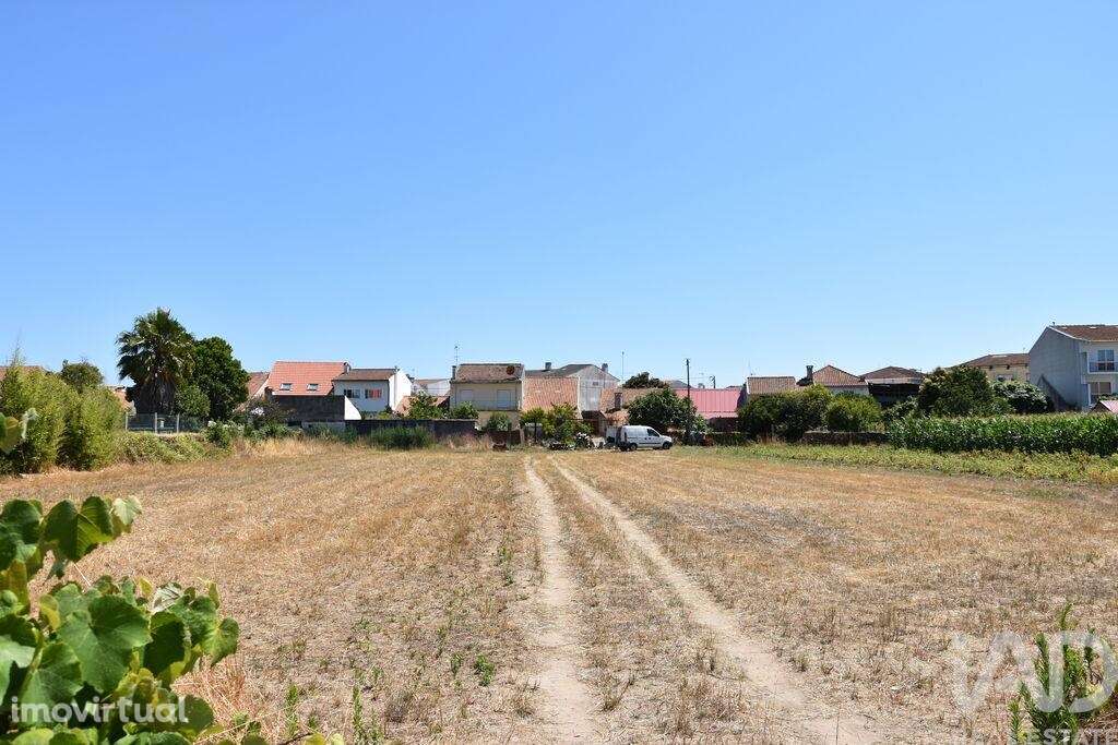 Terreno para construção em Ovar, São João, Arada e São Vicente de Pere - Grande imagem: 2/27