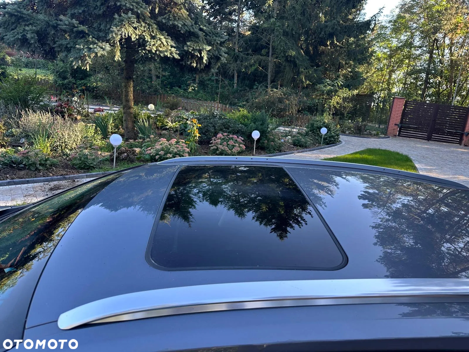 Lexus NX - 7
