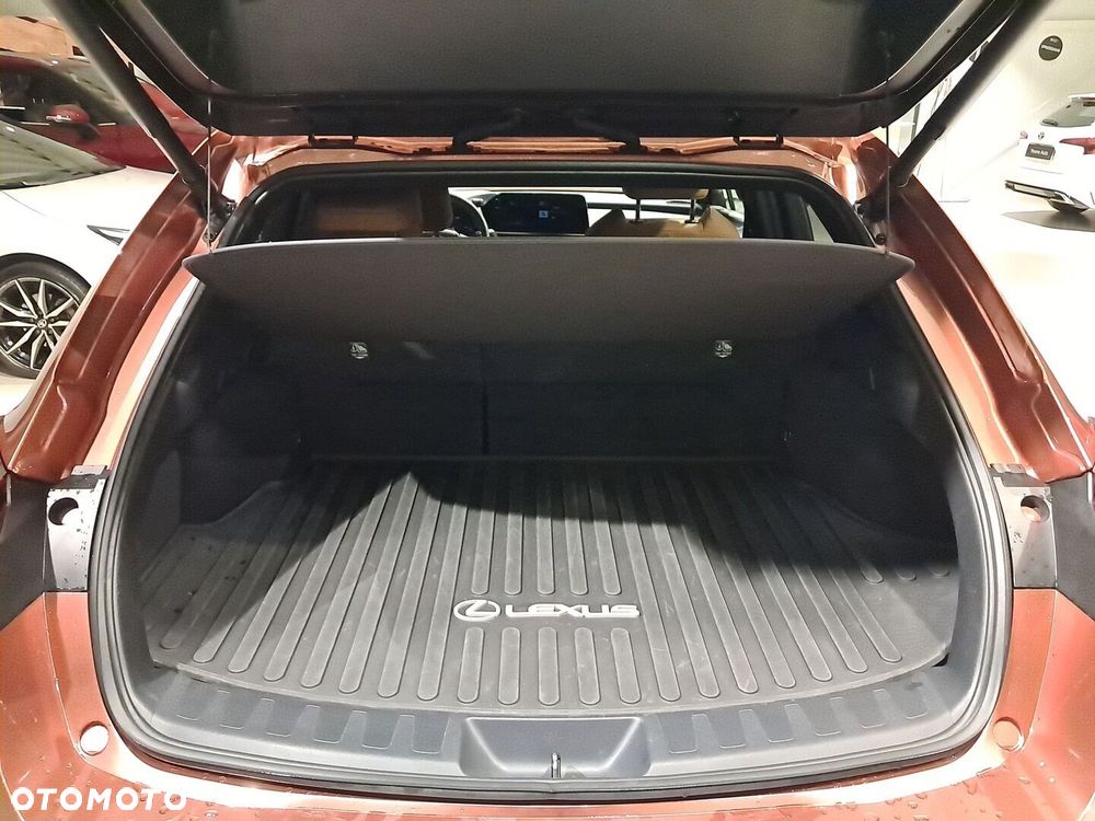 Lexus UX 300h F Sport Design - 11