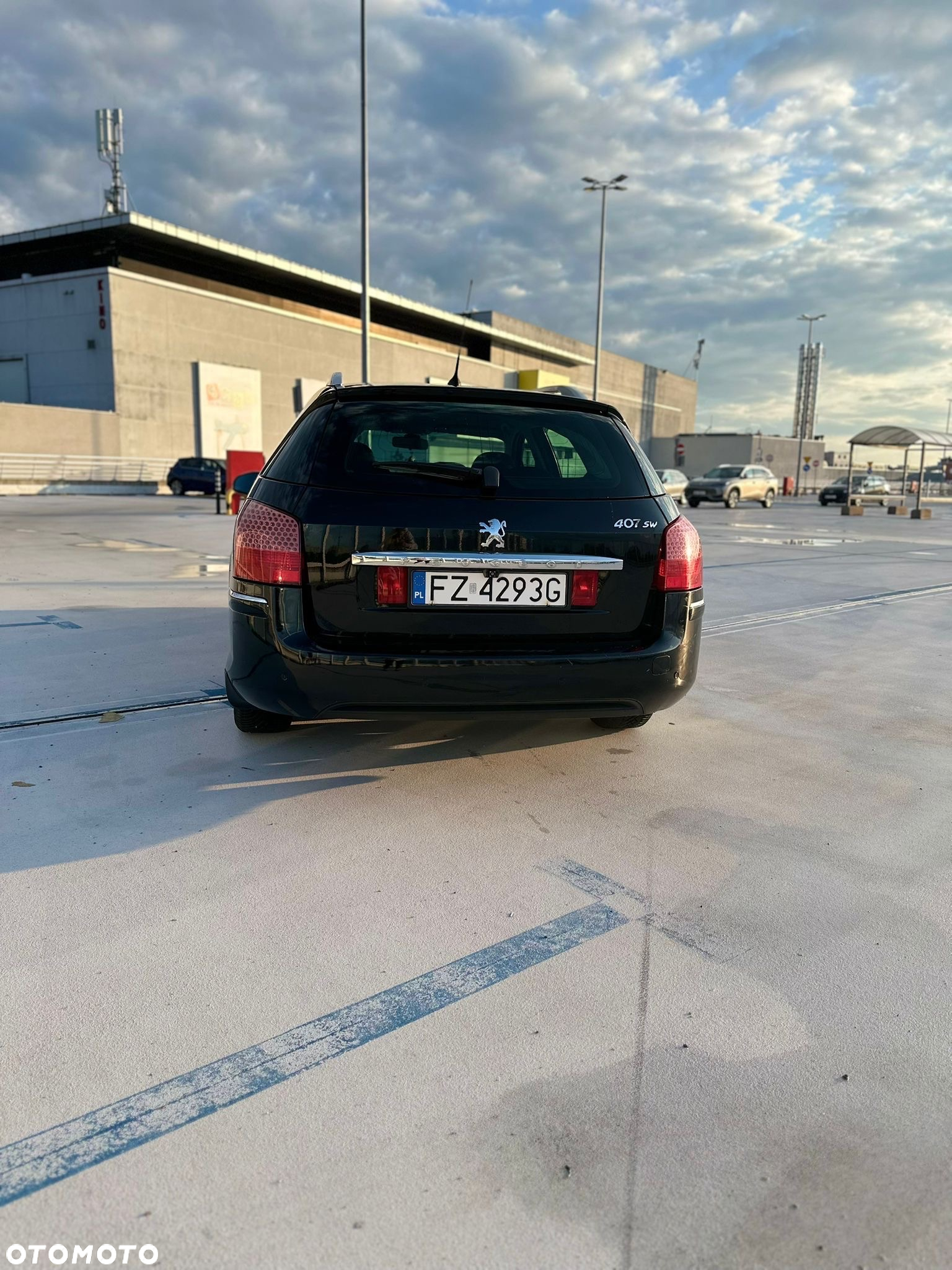 Peugeot 407 - 8