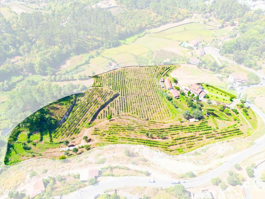 Quinta T4 para venda - Grande imagem: 4/32