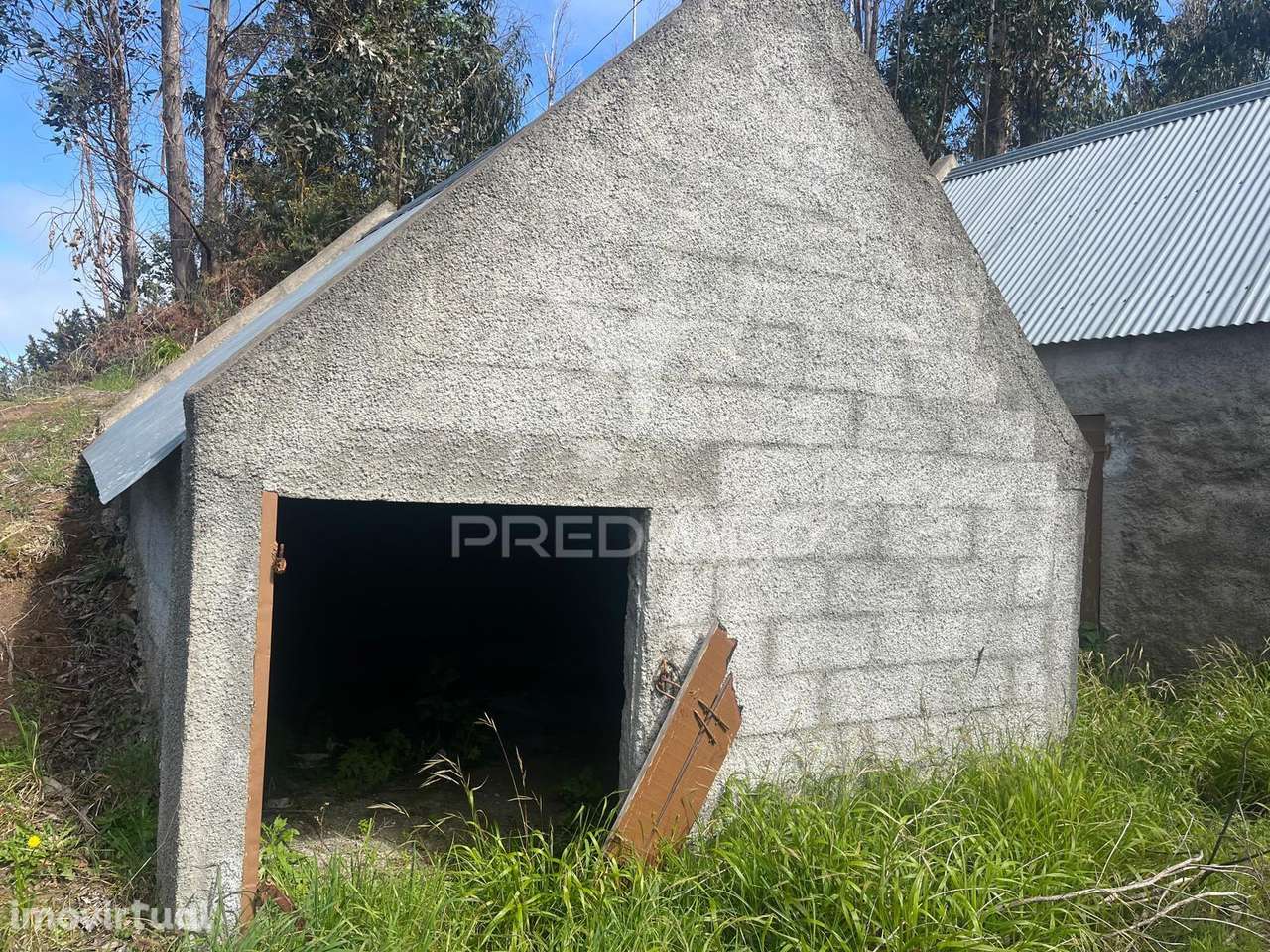 2 palheiros e 200m2 de terreno na zona Prime da Ponta do Pargo á be... - Grande imagem: 5/6