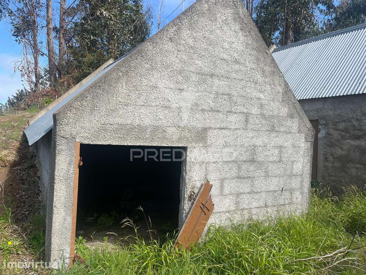 2 palheiros e 200m2 de terreno na zona Prime da Ponta do Pargo á be... - Grande imagem: 5/6