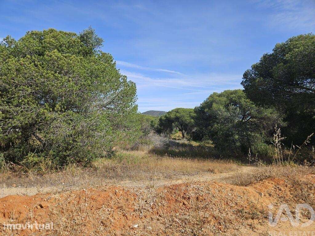 Terreno em Quarteira de 11540,00 m2 - Grande imagem: 5/11