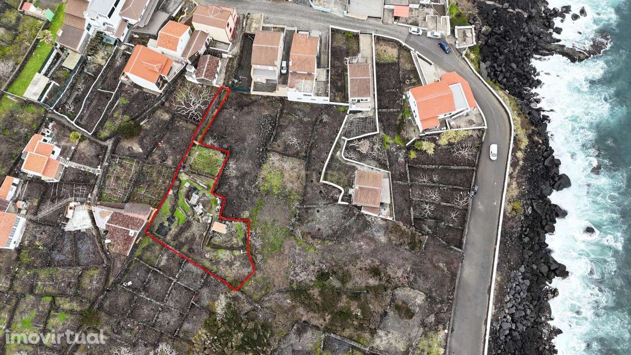 Terreno com Frutais e Horta na Ilha Terceira - 55.000€ - Grande imagem: 3/6
