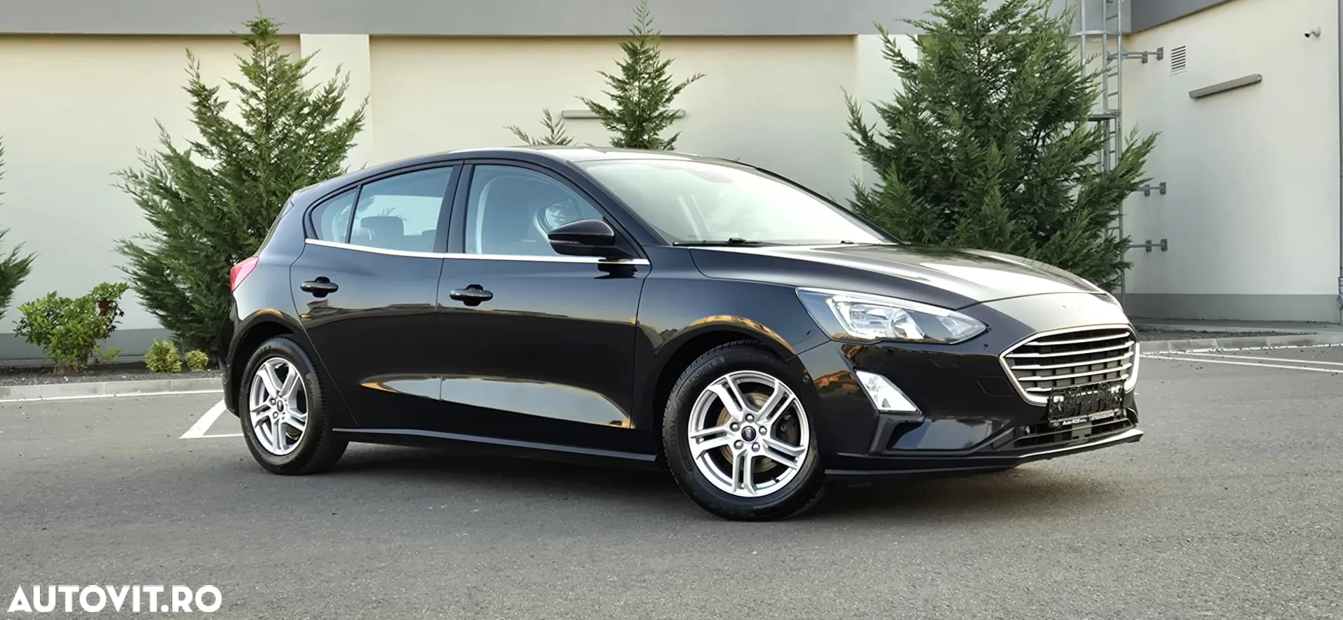 Ford Focus - 2