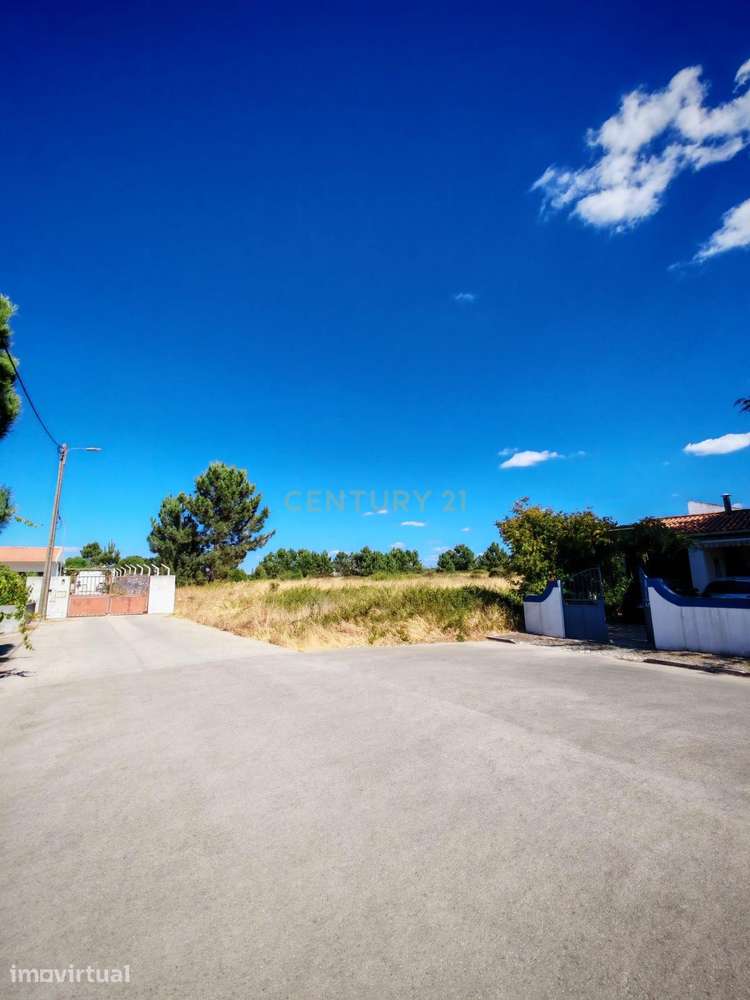 Terreno com 19.500 m2 - Vale de Touros, Palmela - Grande imagem: 4/19
