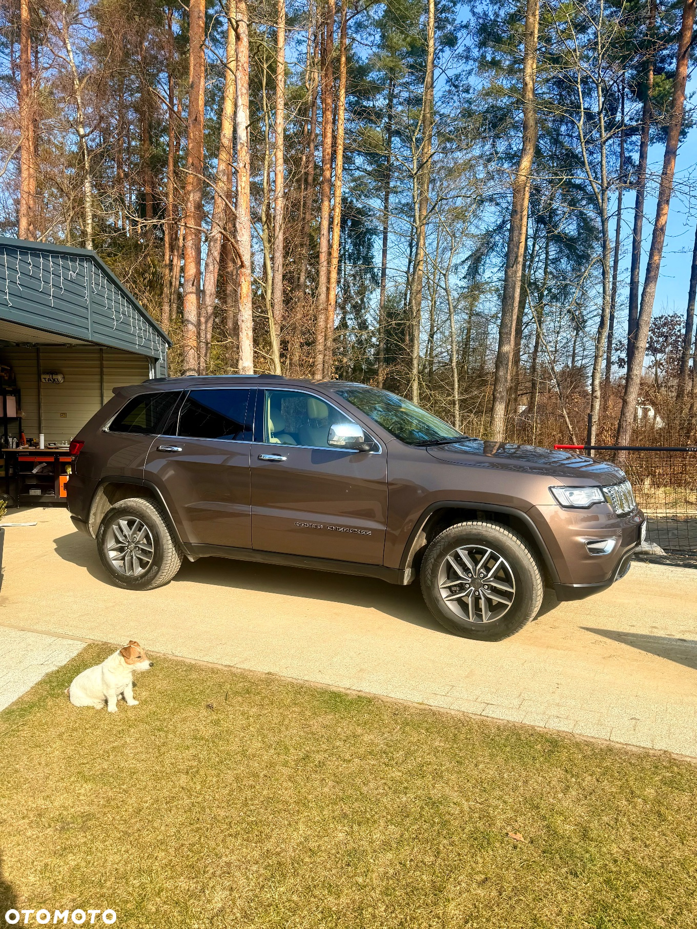 Jeep Grand Cherokee - 24