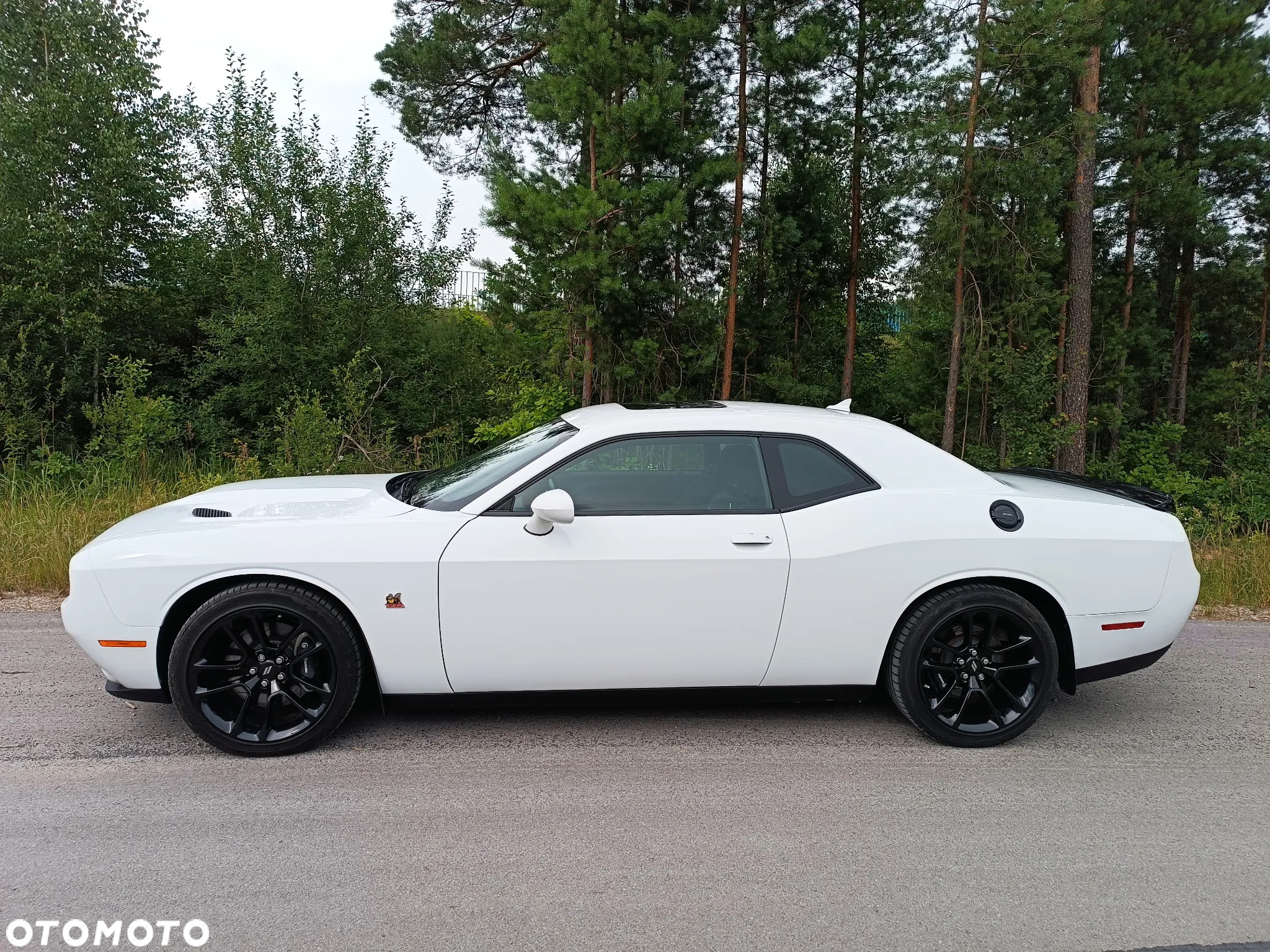 Dodge Challenger 6.4 Scat Pack - 4