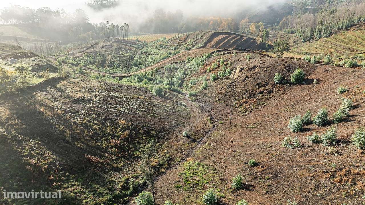 Terreno  para venda - Grande imagem: 3/12