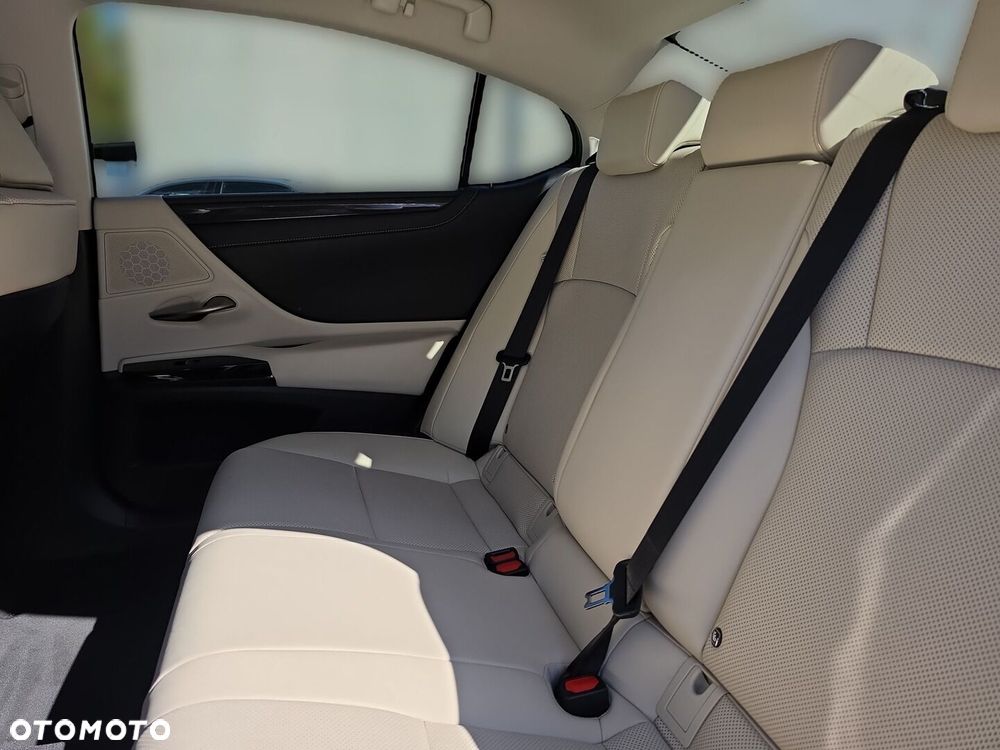 Lexus ES 300h F Sport Design - 25