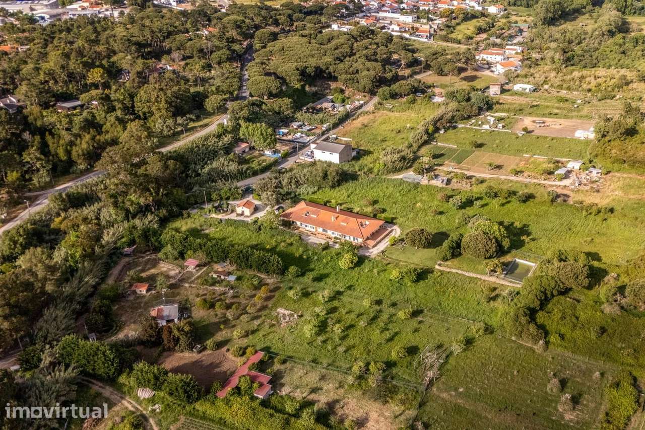 Herdade 1.4 ha, Mucifal, Sintra - Grande imagem: 3/21