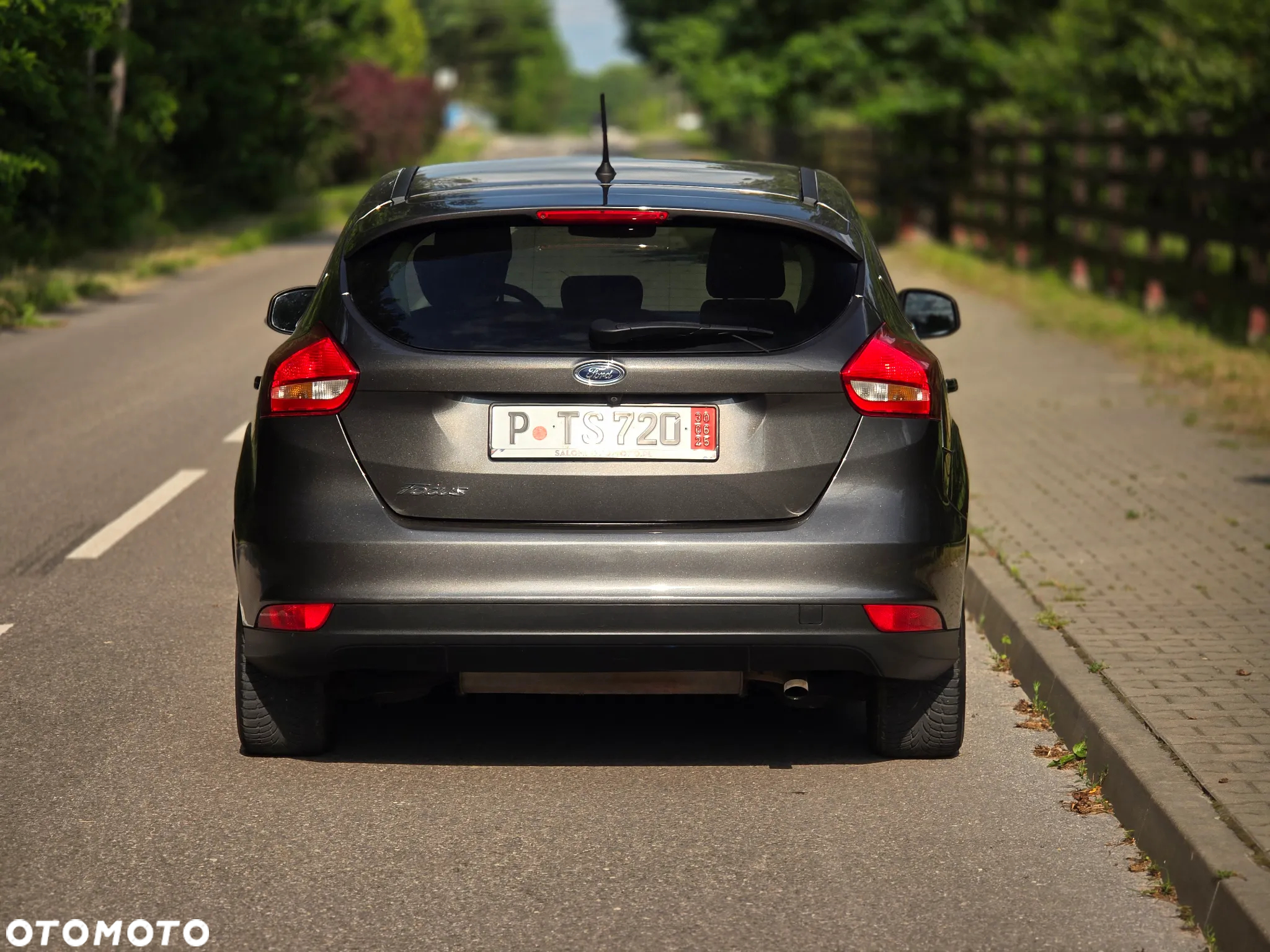 Ford Focus 1.6 Titanium - 14
